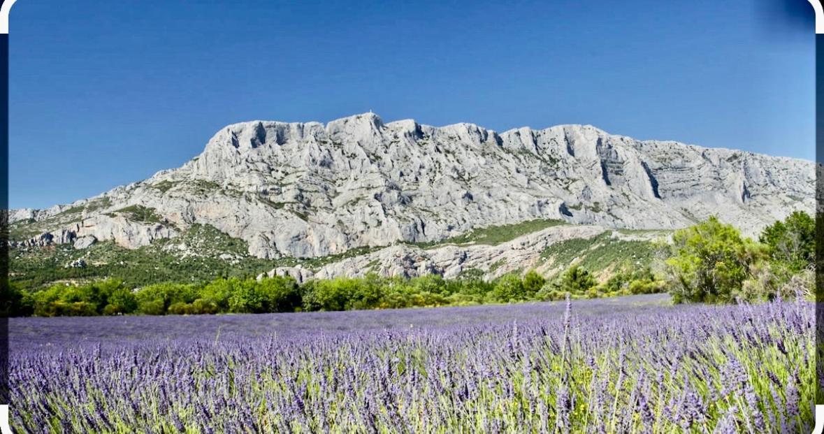 Charmant Studio Le Clos D'Aix Parking Prive Gratuit Et Piscine Aix-en-Provence Luaran gambar